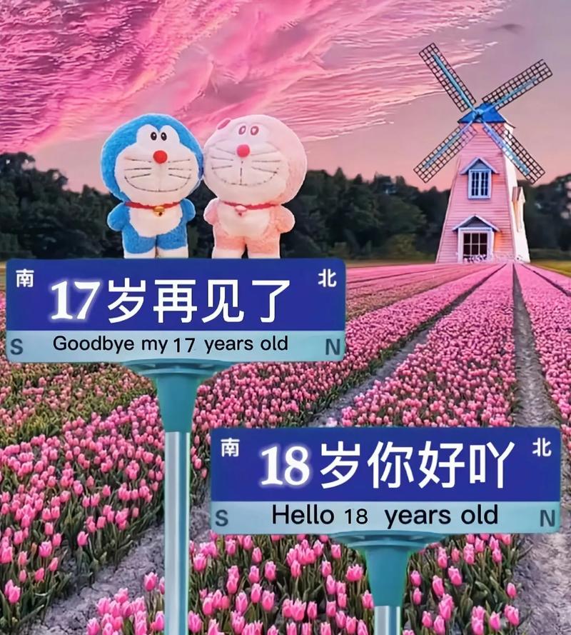 17岁观看高清完整版
