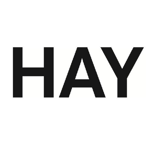 hay的中文