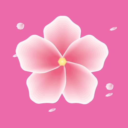 粉丝视频
