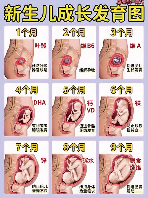 孕妇多少周可以不带安全带