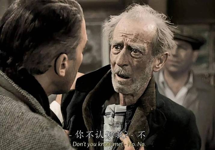 糟老头影视