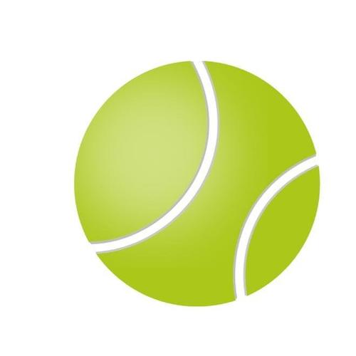 3d网球中文版
