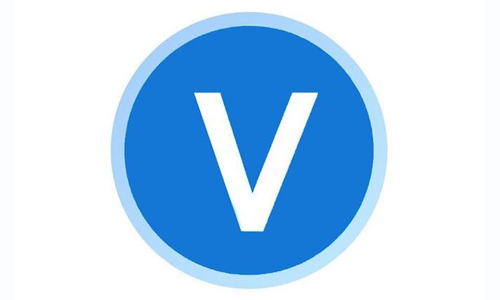 v的真实身份