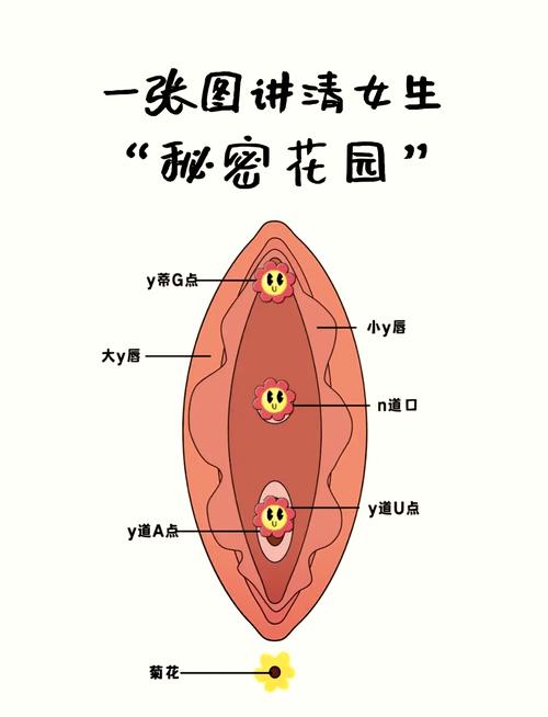 女生怎么奖厉自已的隐私部位的软件
