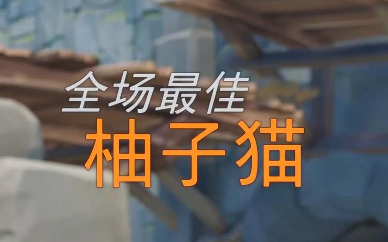 柚子猫八神情人节礼物