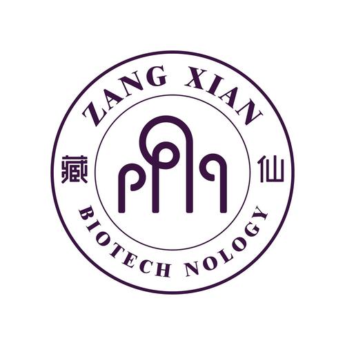 大道藏仙截图