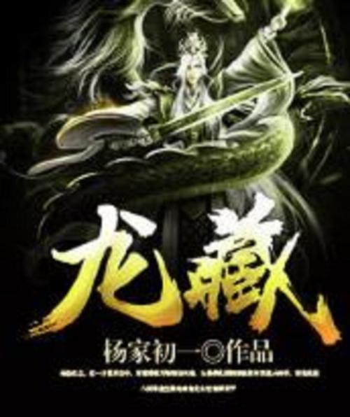 宝藏之龙藏经最新章节