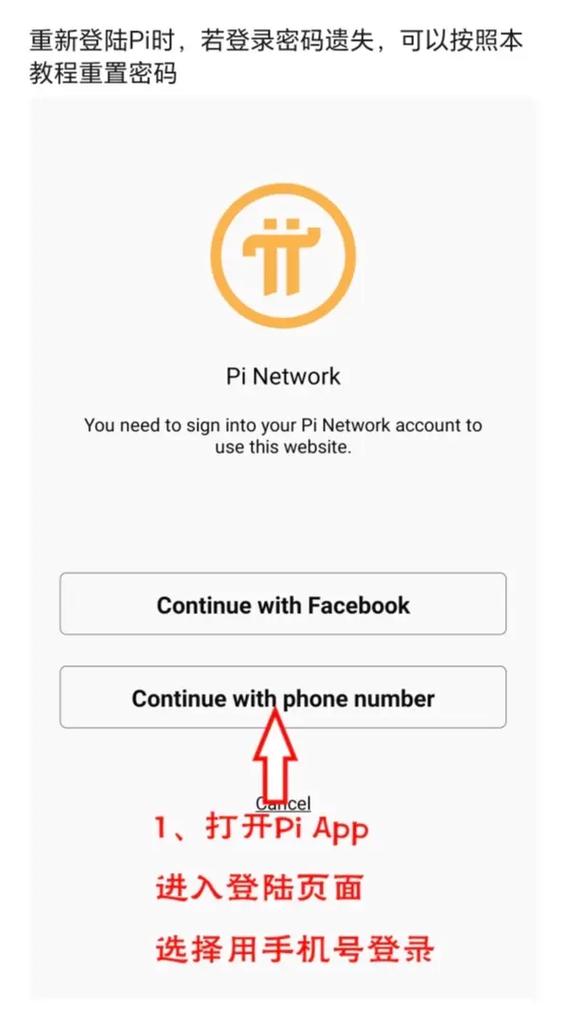 pi network如何登录