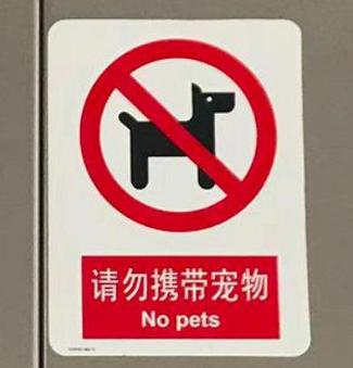 地铁上可以带狗狗不
