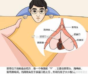 美女隐私尿口 免费软件截图