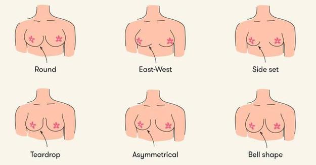 可以看到女生两个乳头的软件