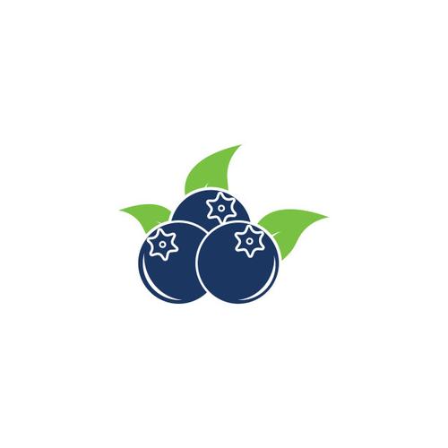 蓝莓3.4