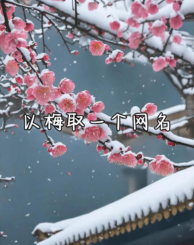梅花网文案网站情感段子