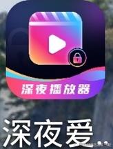 深夜禁播免费软件大全