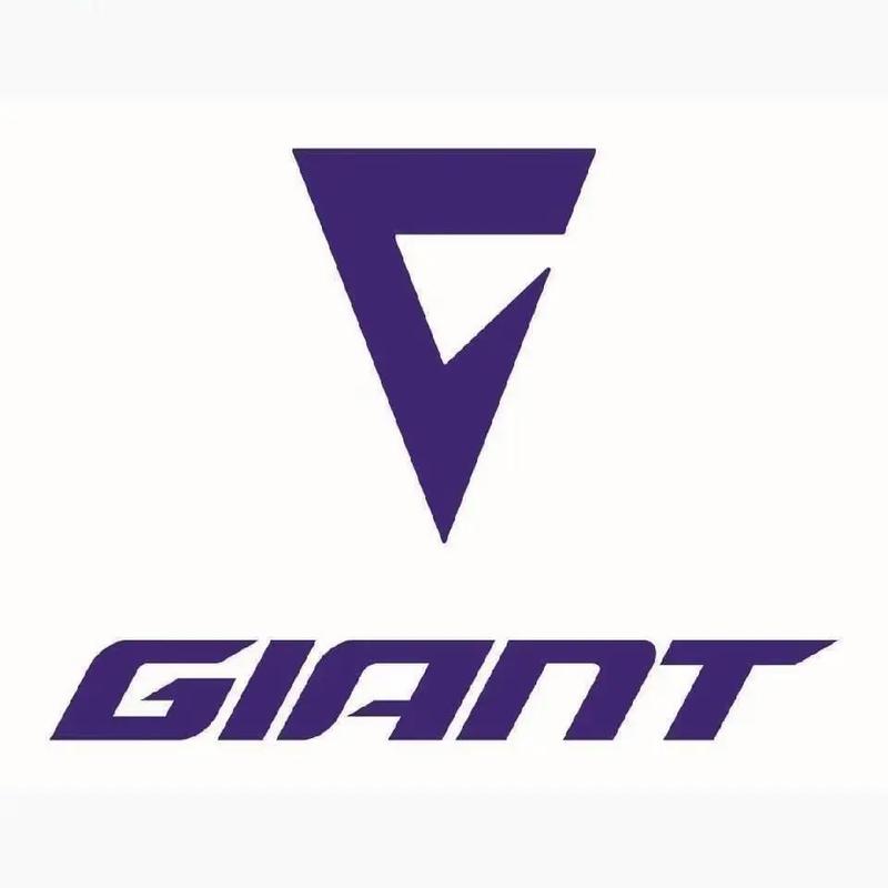 antv安装包截图