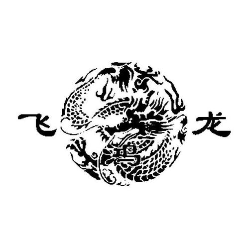 RGB飞龙怎么安装