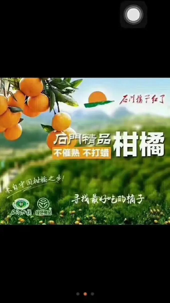 蜜桔85311tv