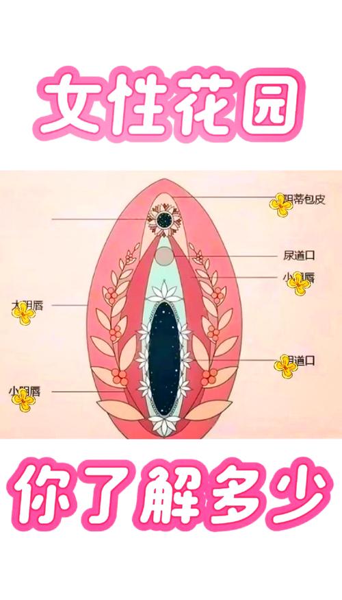 能看女人的尿口的软件下截