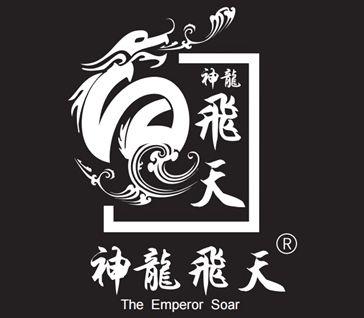 神龙代理ip