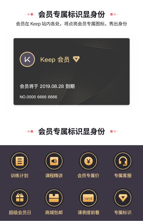 兴管理 铁杆会员 8 的会员数量