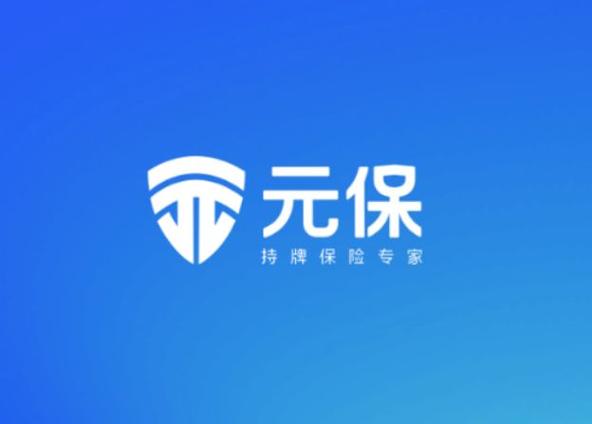 元保保险在哪个平台买截图