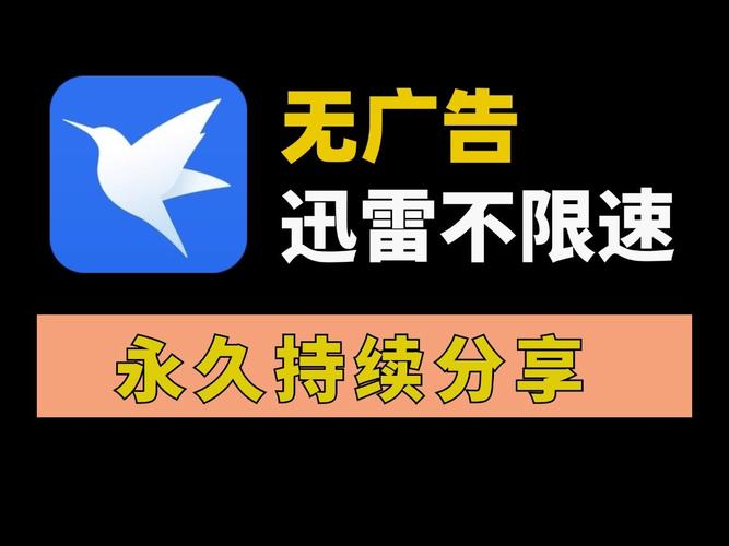迅雷app安装免费版最新版本更新内容