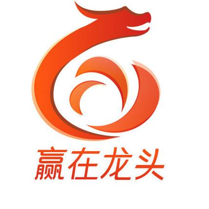 赢在龙头决策版官网