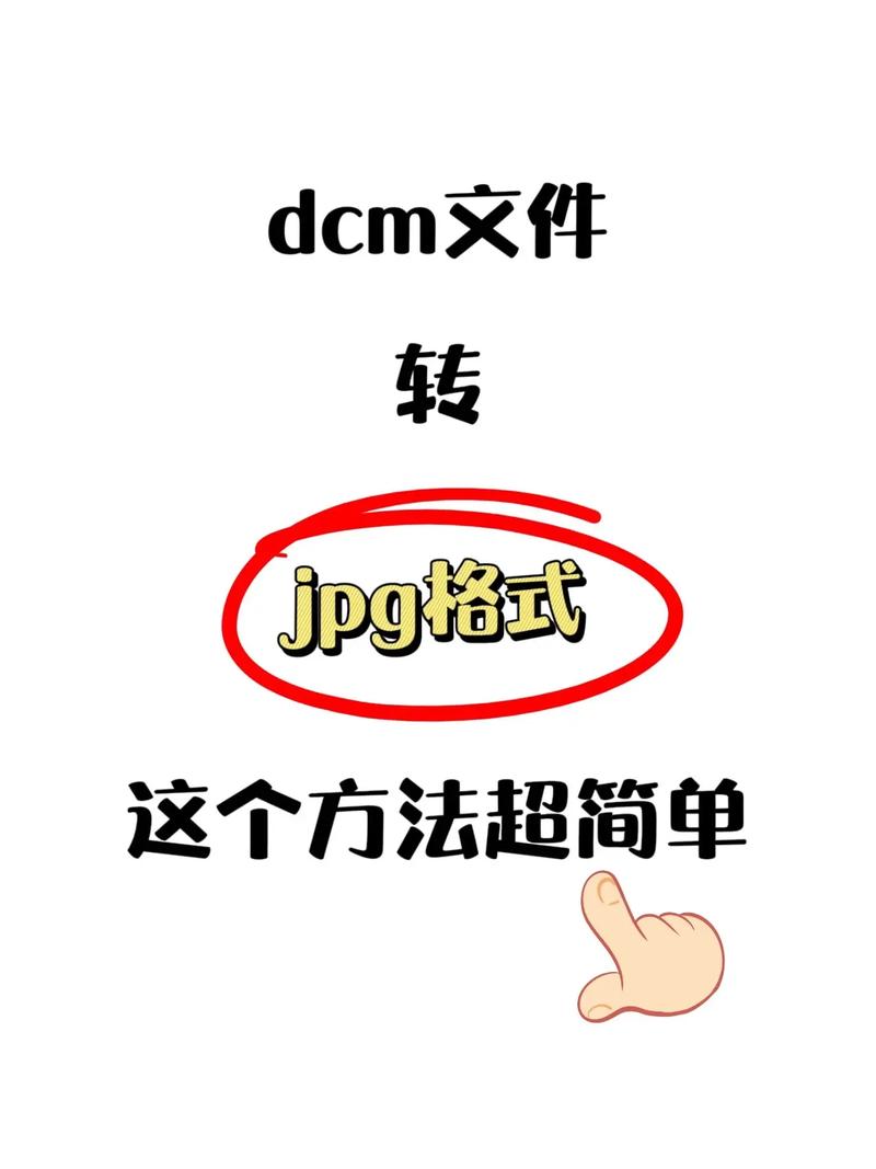 vcf文件怎么打开