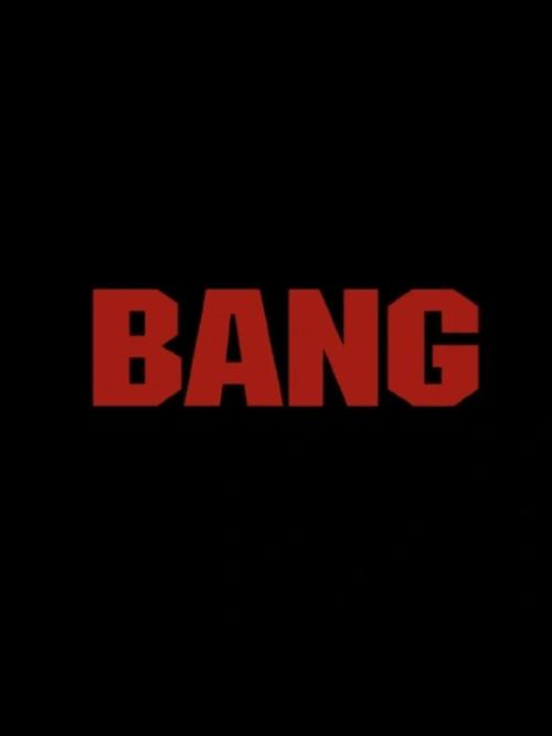 bangumi手机版最新版本更新内容