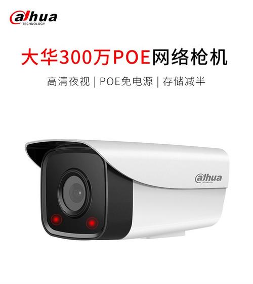 大华监控录像播放器