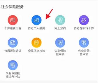 龙江人社养老个人缴费