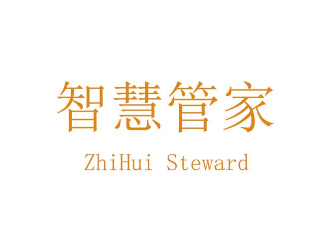 智慧管家安装