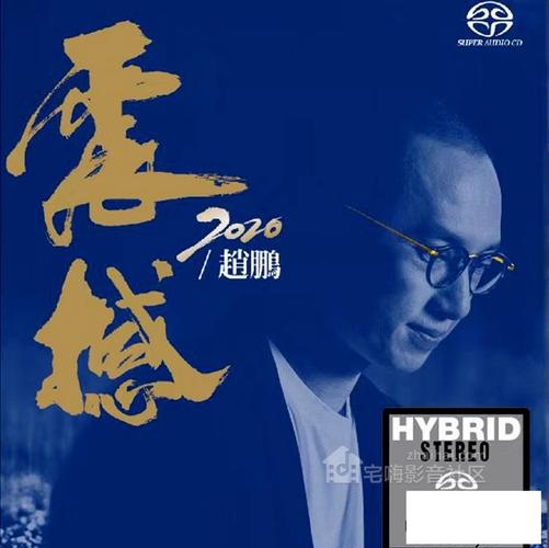 赵鹏震撼2020