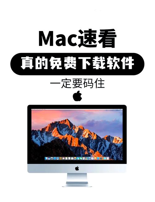 安卓免授权MAC修改工具