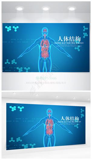 人体结构图APP