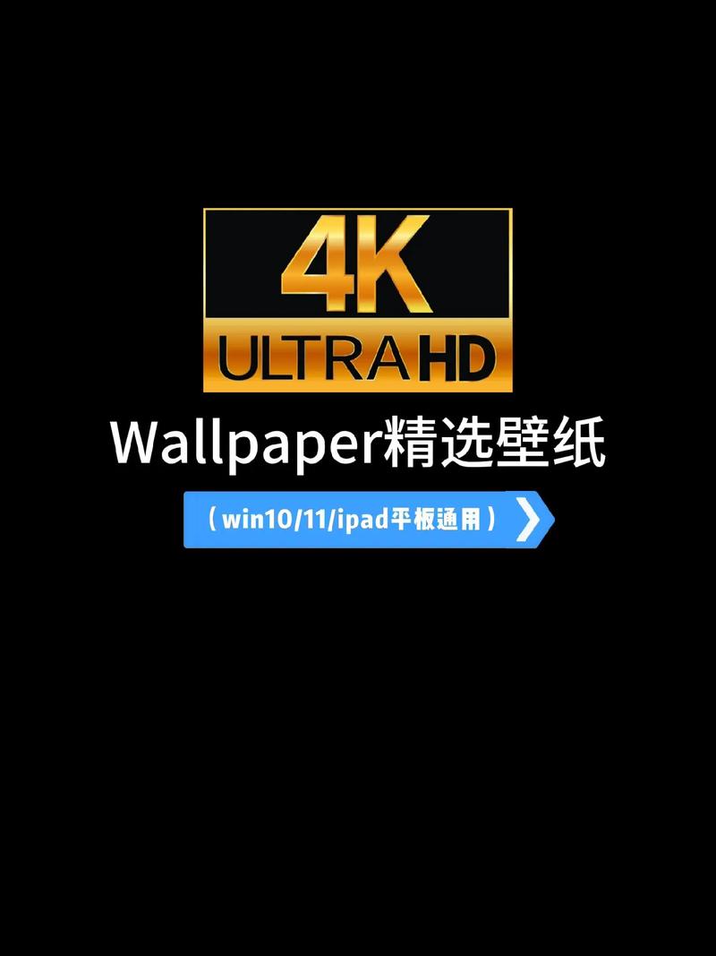 wallpaperengine18+可以随便看吗