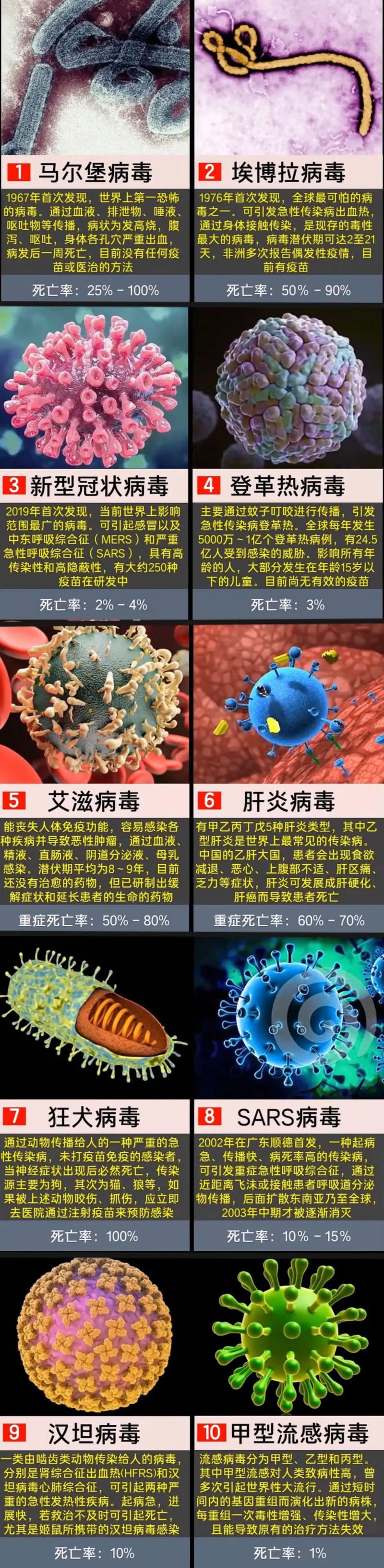 病毒库排名前十名