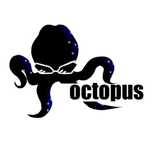 Octopus正版入口