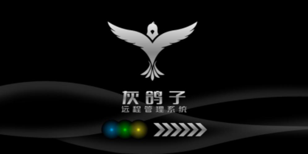 灰鸽子远程控制黑防专版最新更新内容