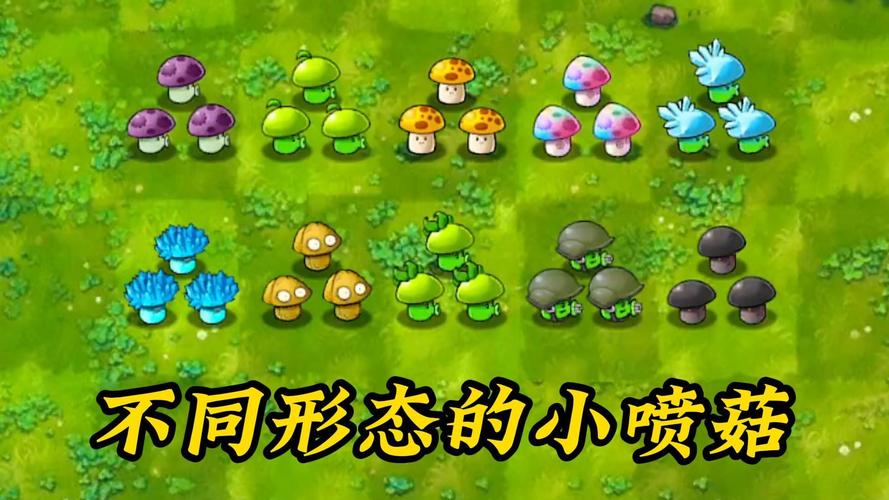 植物大战僵尸融合喷菇家族