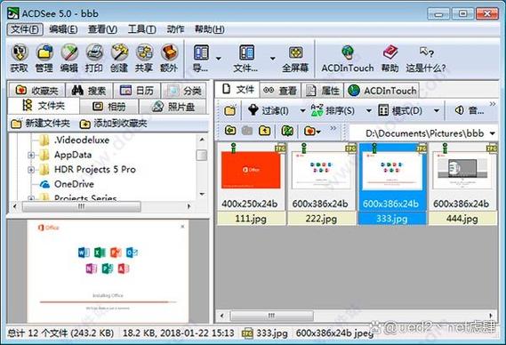 ACDsee10内置菜单中文版安装方法