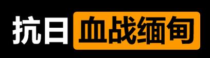 抗日:血战缅甸