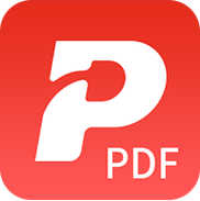 新中大帐证电子版pdf