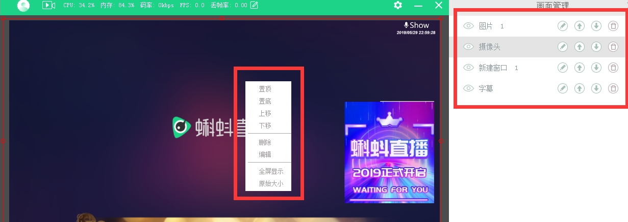 蝌蚪直播伴侣电脑版登录入口