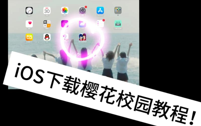 樱花校园怎么变大