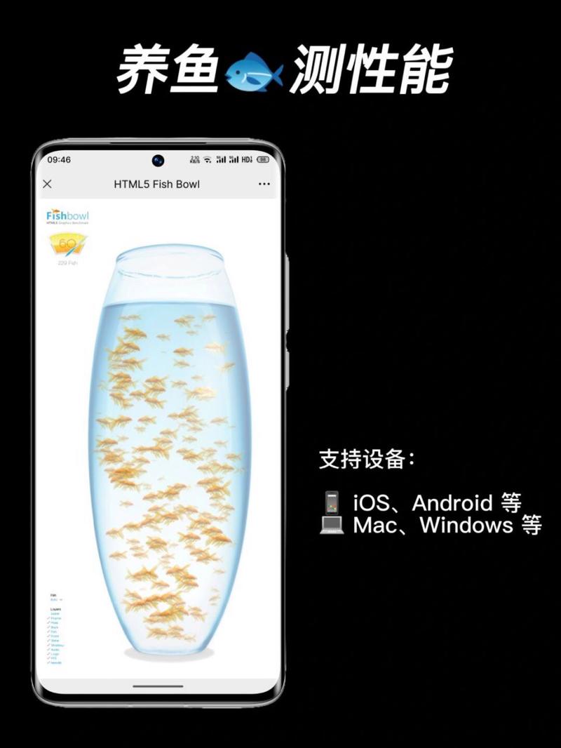 鱼缸测试手机性能