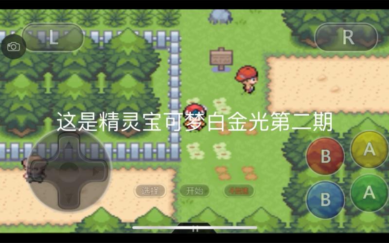 口袋妖怪白金光无限金币