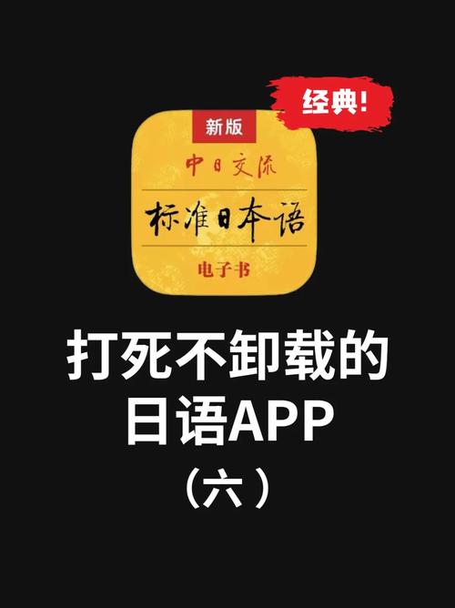 新标日语破解版