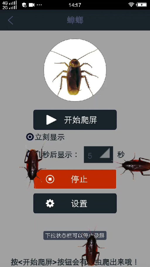 屏幕虫子爬动逗猫