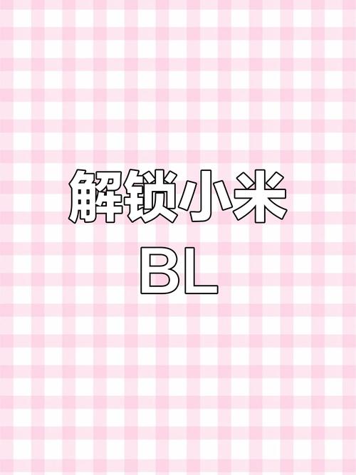 UnlockTool解锁小米bl
